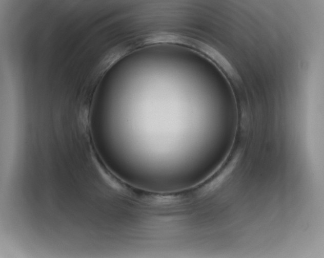 X0000112390849200908131547