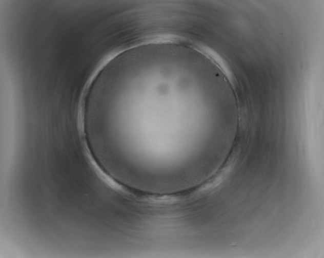 X0000112390851200908131547