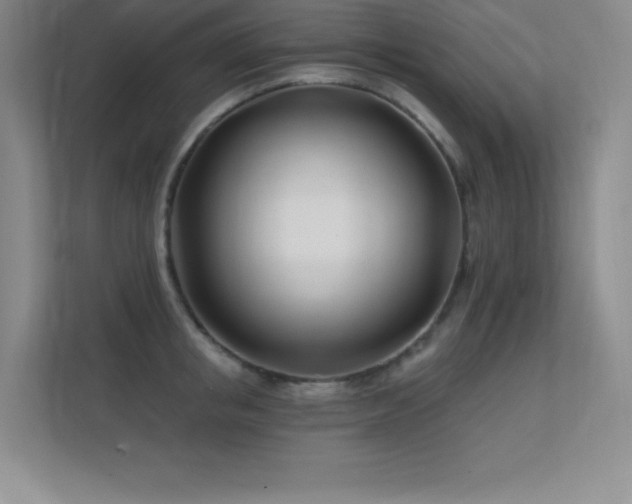 X0000112390853200908131547