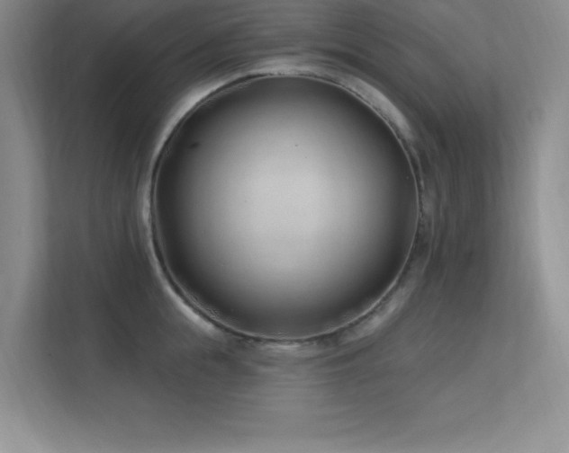 X0000112390855200908131547