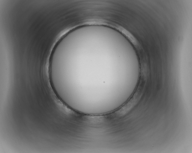 X0000112390856200908131547