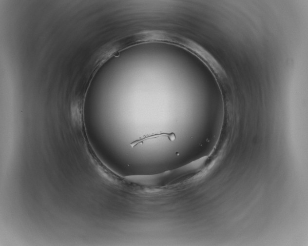 X0000112390857200908131547