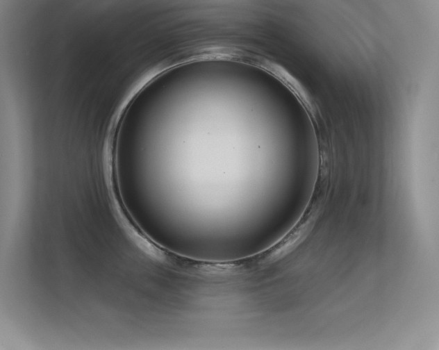 X0000112390859200908131547