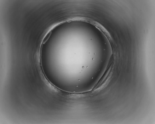 X0000112390860200908131547