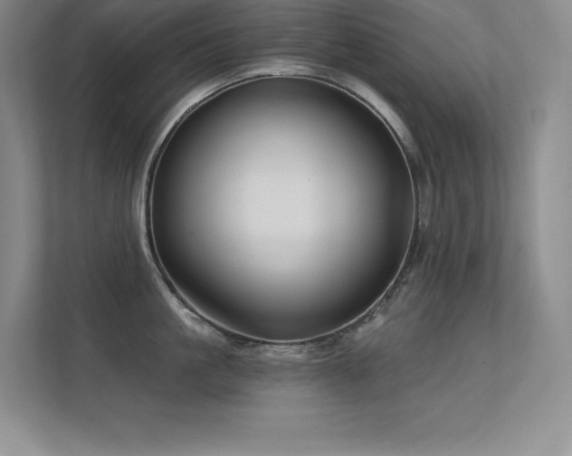 X0000112390861200908131547