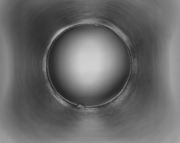 X0000112390862200908131547