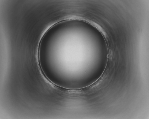 X0000112390863200908131547