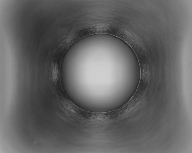 X0000112390866200908131547