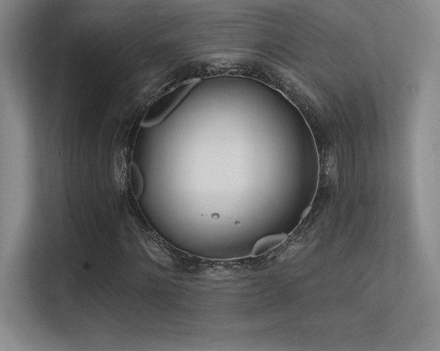 X0000112390868200908131547