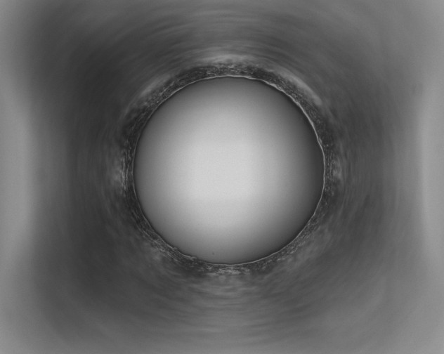 X0000112390869200908131547