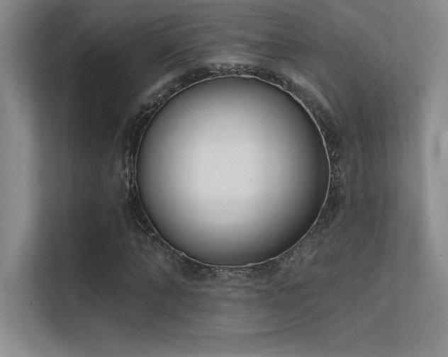 X0000112390870200908131547