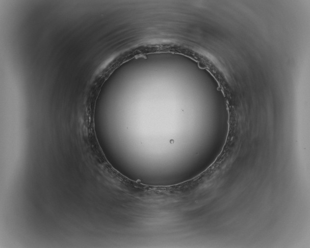 X0000112390871200908131547