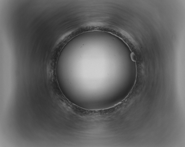 X0000112390872200908131547