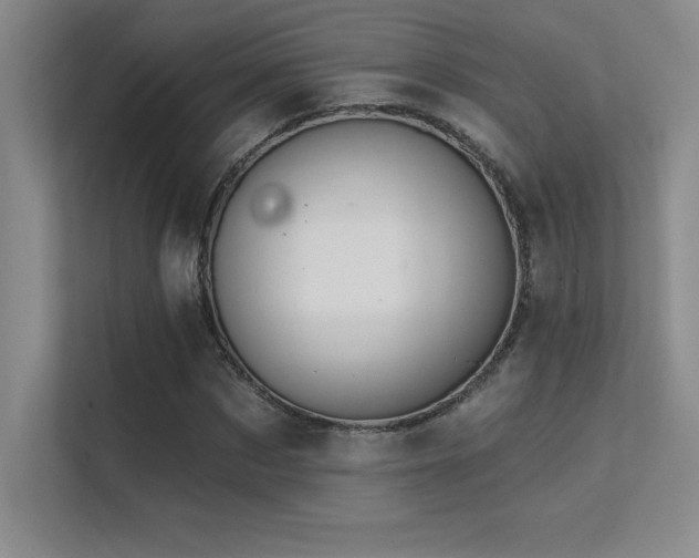 X0000112390873200908131547