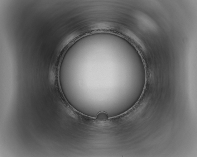 X0000112390874200908131547