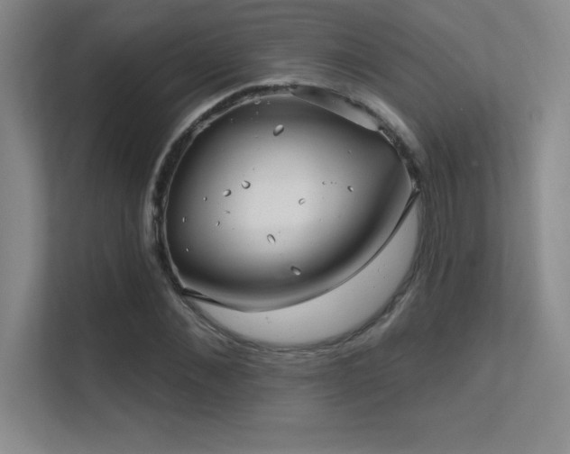 X0000112390876200908131547