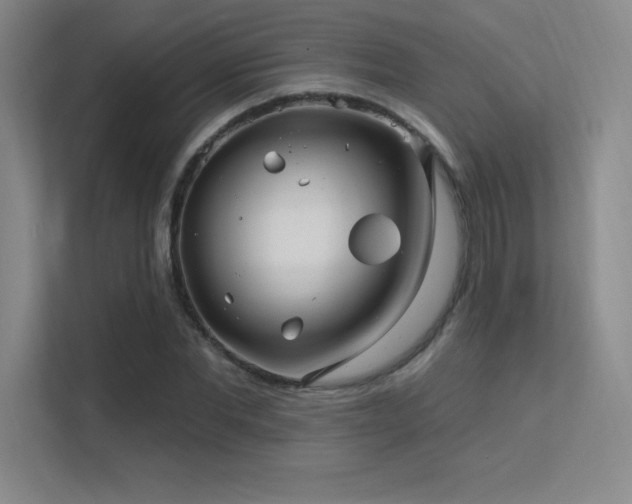 X0000112390877200908131547