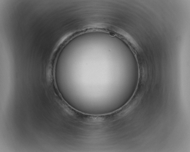 X0000112390878200908131547