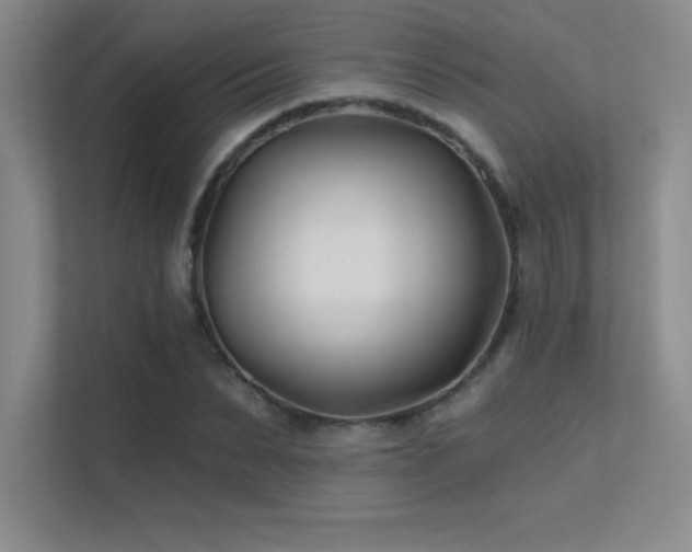 X0000112390879200908131547