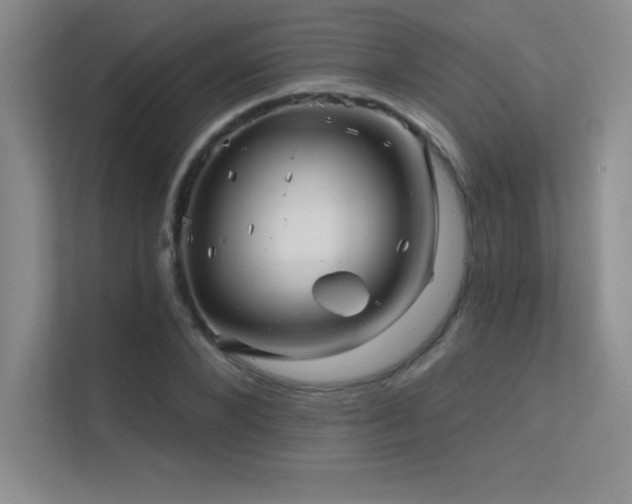 X0000112390880200908131547