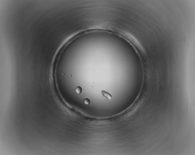 X0000112390884200908131547