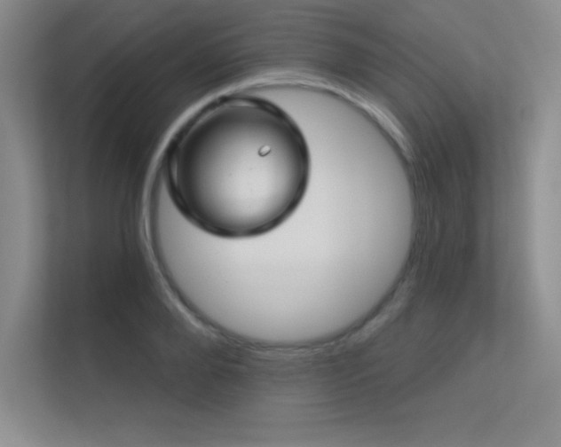 X0000112390888200908131547