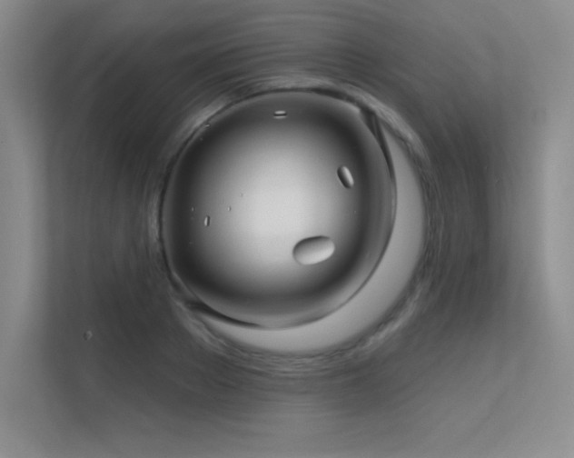 X0000112390889200908131547