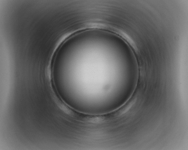 X0000112390891200908131547