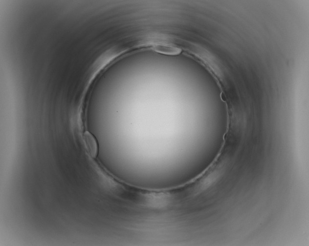 X0000112390893200908131547