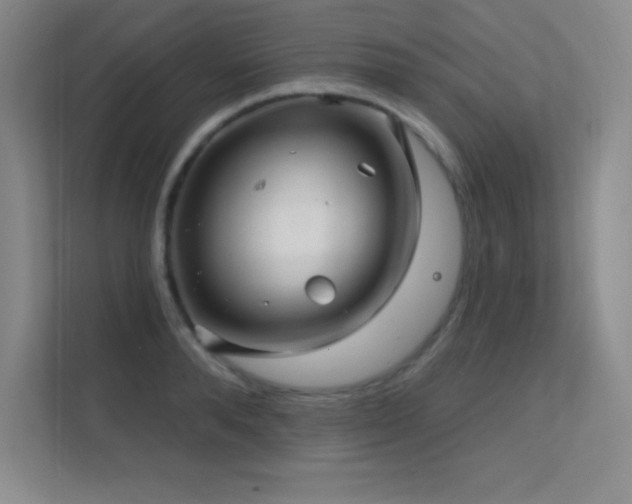 X0000112390896200908131546