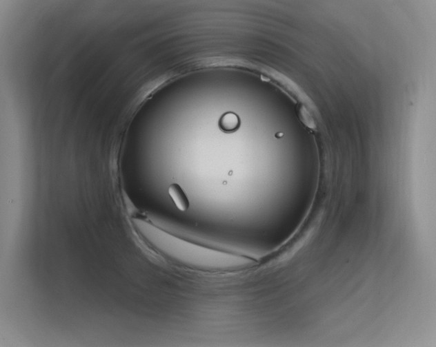 X0000112390897200908131546