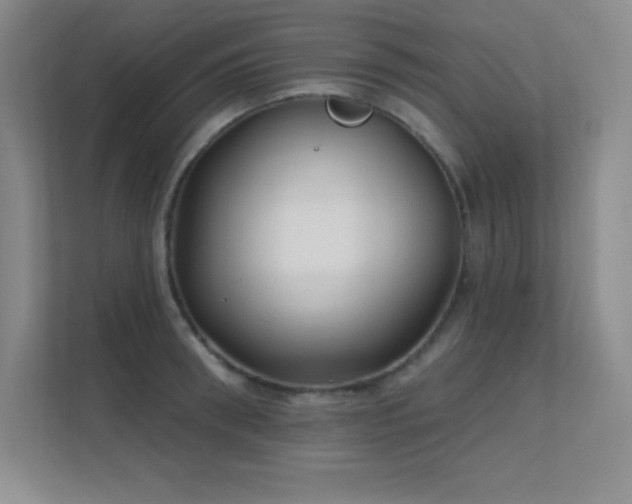 X0000112390898200908131546