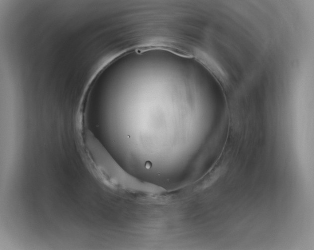 X0000112390900200908131546