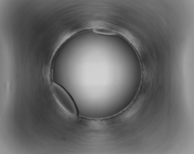 X0000112390901200908131546