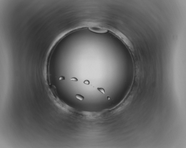 X0000112390904200908131546