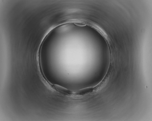 X0000112390907200908131546