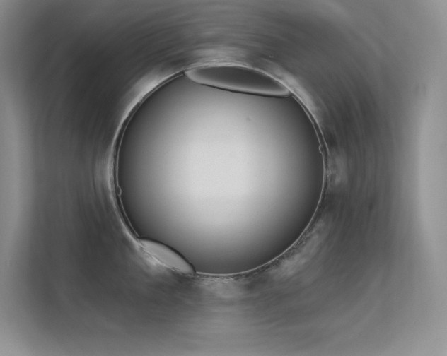 X0000112390909200908131546