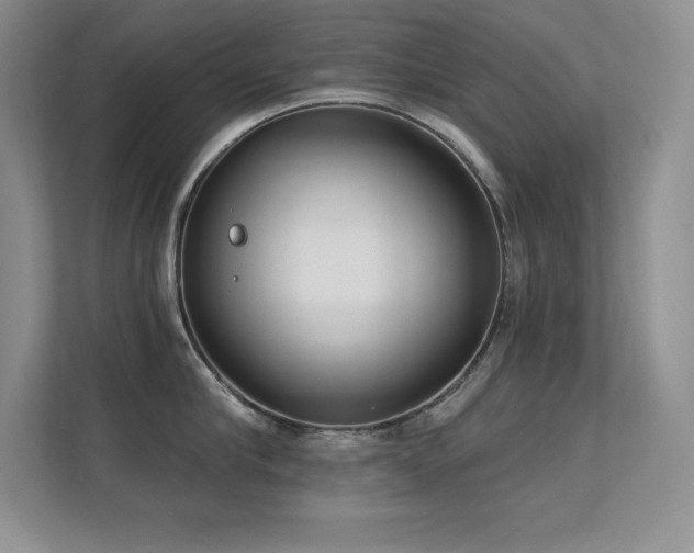 X0000112390910200908131546