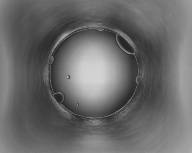 X0000112390911200908131546