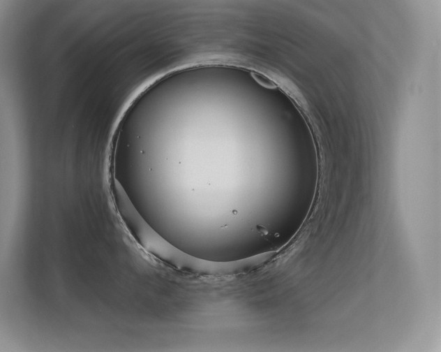 X0000112390912200908131546