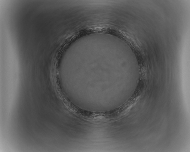 X0000112390913200908131546