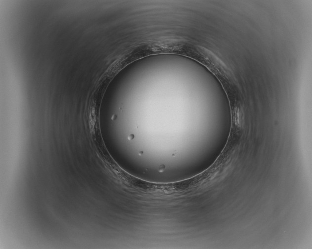 X0000112390915200908131546