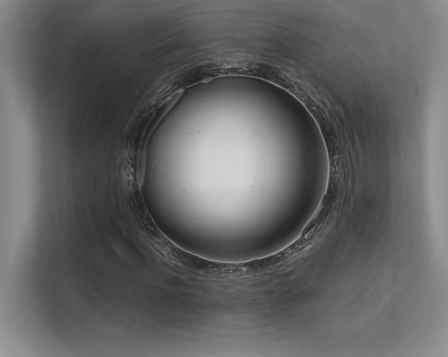 X0000112390916200908131546