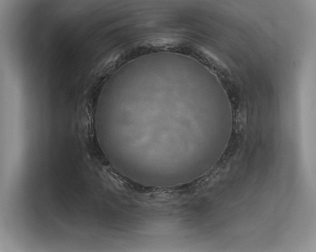 X0000112390917200908131546