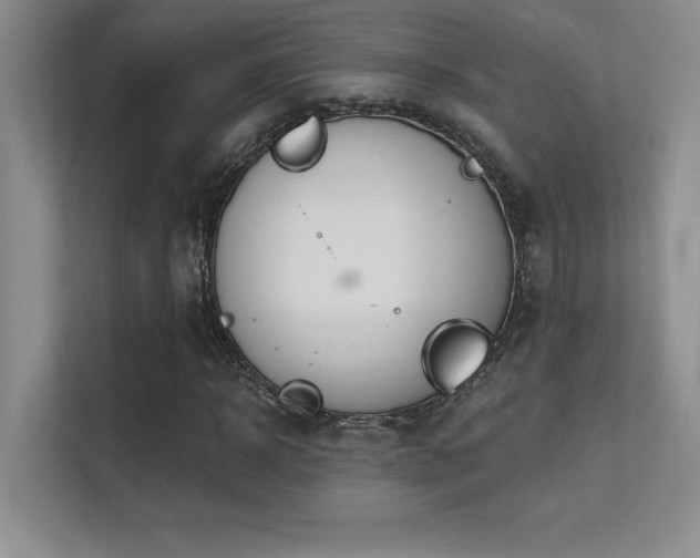 X0000112390918200908131546