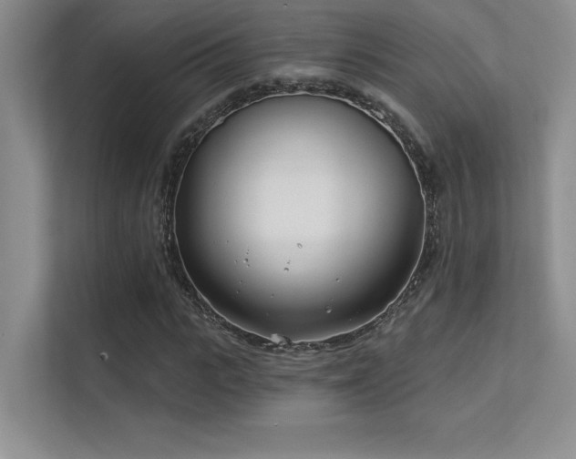 X0000112390919200908131546