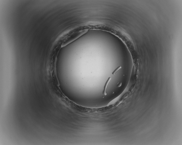 X0000112390920200908131546