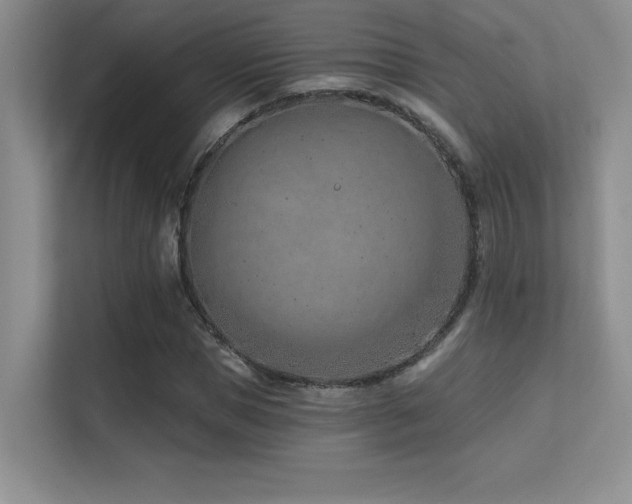 X0000112390921200908131546