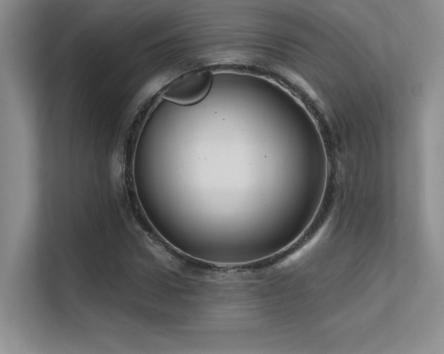 X0000112390922200908131546