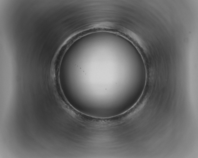 X0000112390923200908131546